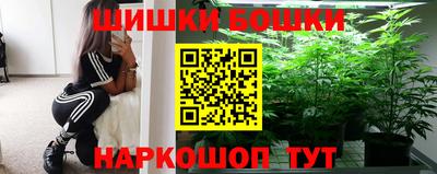 индика Мариинск