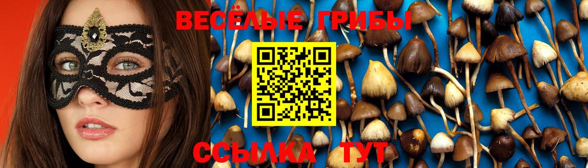 Псилоцибиновые грибы мухоморы Карабулак