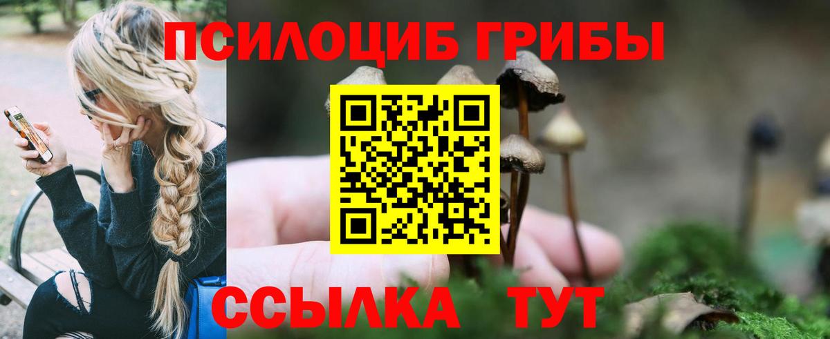 Псилоцибиновые грибы Psilocybine cubensis  Вход с VPN  Карабулак 