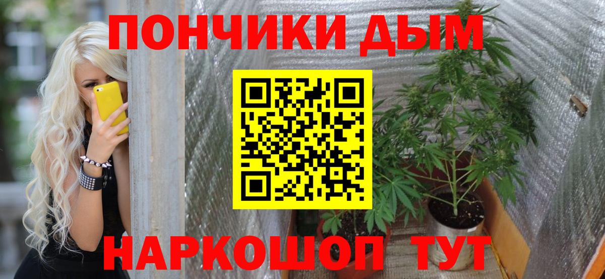 Канабис планчик  МАРИХУАНА семена  Каннабис марихуана  Карабулак  Вход с VPN  Каннабис Ganja 